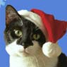 meowy-christmas.jpg
