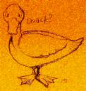 duck-3.jpg