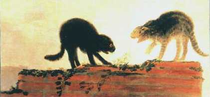 goya_cat_fight.jpg