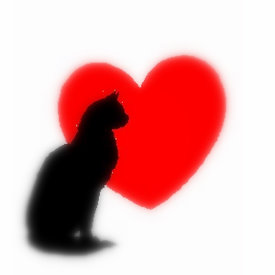 cat-heart.jpg