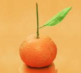 sevilla-tapas-twitter