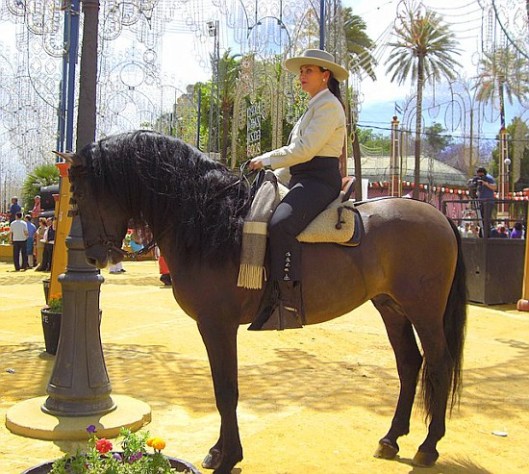 feria-de-jerez-2008