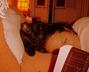 readinginbed-vi readinginbed-vi