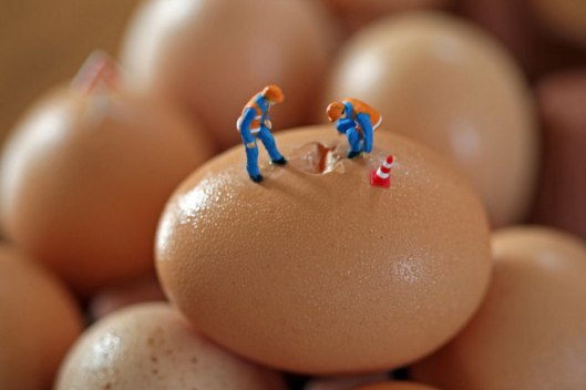 big appetites by Christopher Boffoli