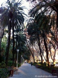 malaga park