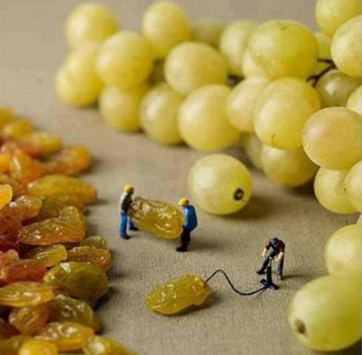how grapes are made