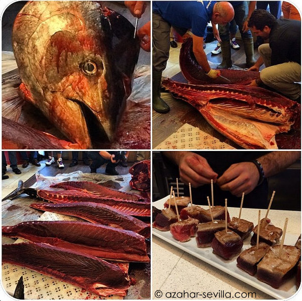 azotea ronqueo scenes