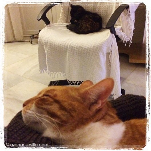 rainy saturday night