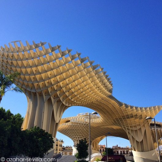 early evening stroll