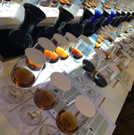 sherry tastings (2)