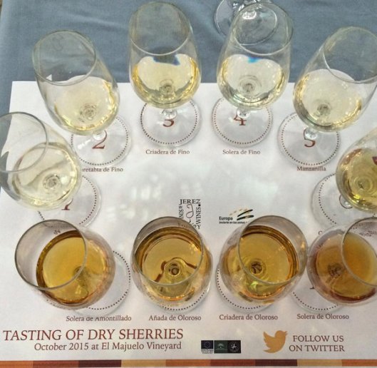 sherry tastings (3)
