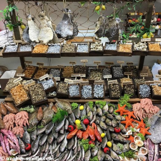 history rewriteen (2)