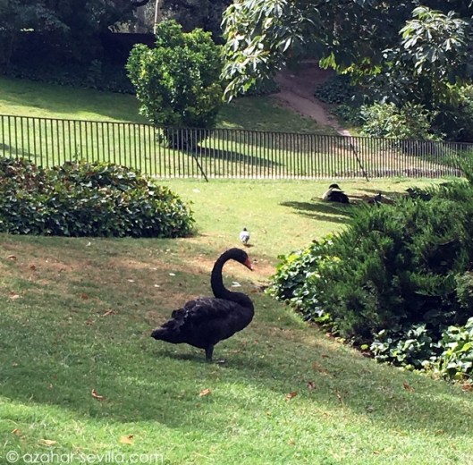 madrid getaway 16 (18)