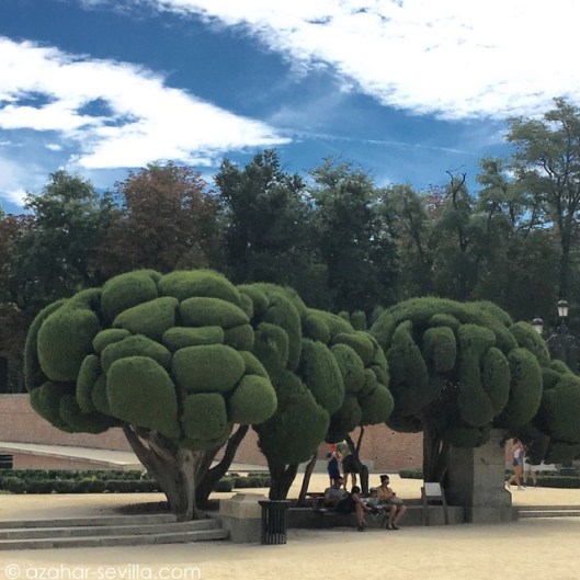 madrid getaway 16 (24)