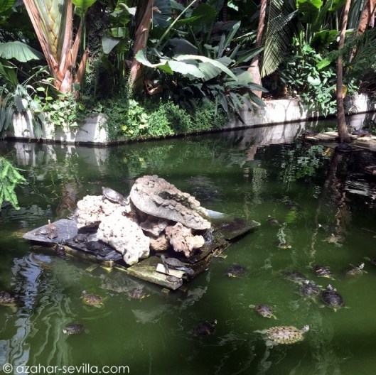 madrid getaway 16 (4)