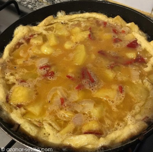 saturday-night-tortilla