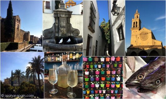 cordoba-collage