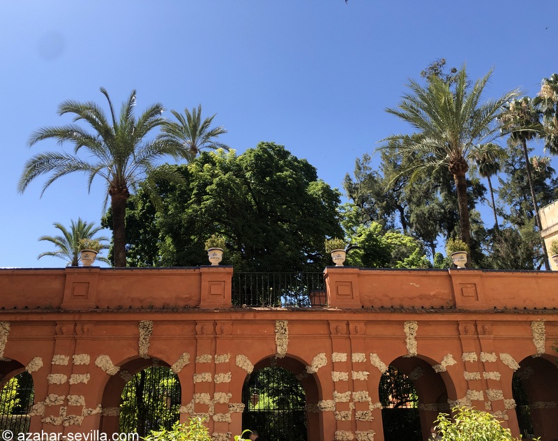 alcazar 2020 (1)