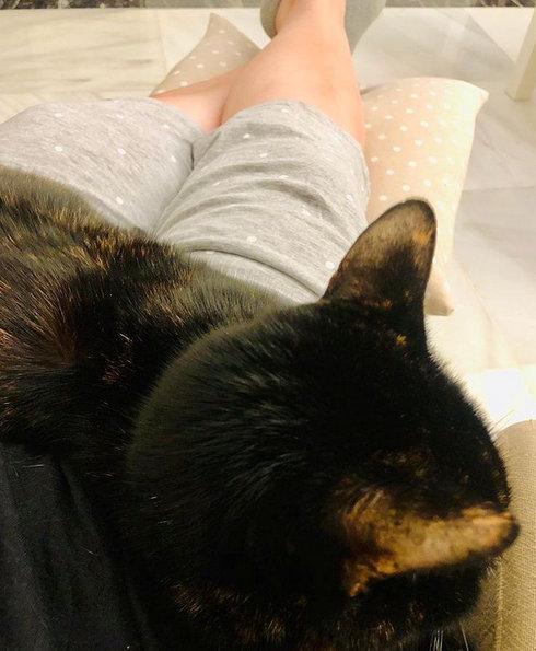 caturday 18 10 2020