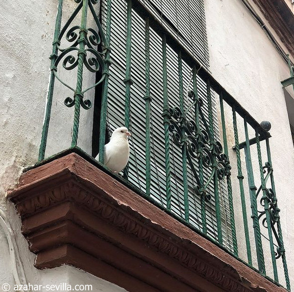 balcony life