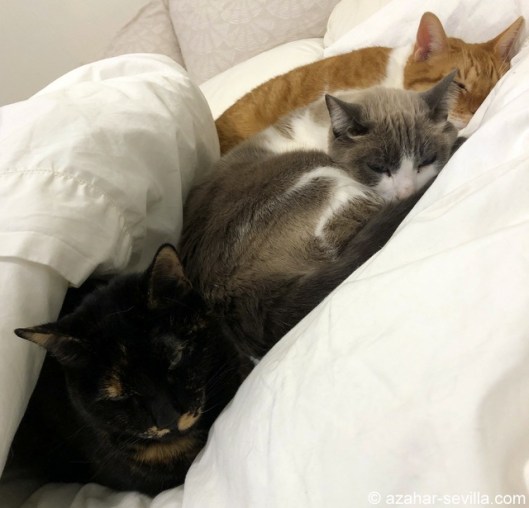 baby its cold outside