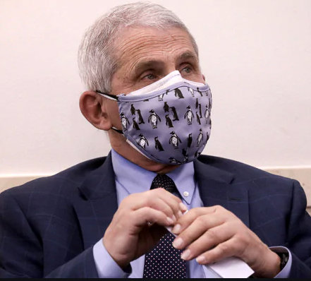 fauci mask