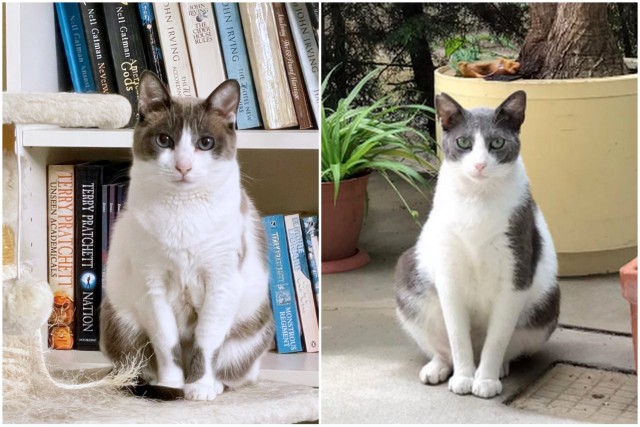 separated at birth