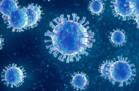 virus 3d illustration