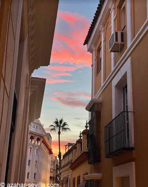 monday sunset (1)