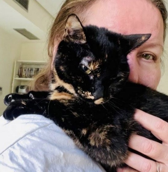 caturday december 11 2021