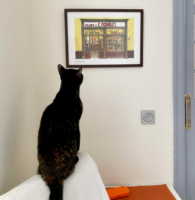 caturday sept 4 2022