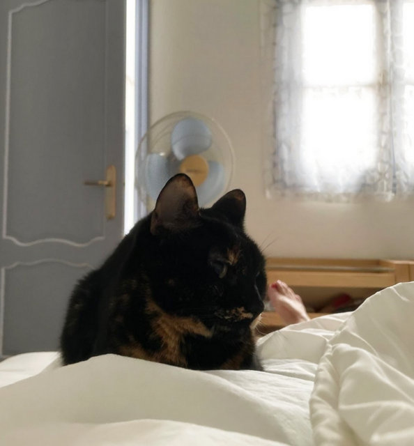 poorly