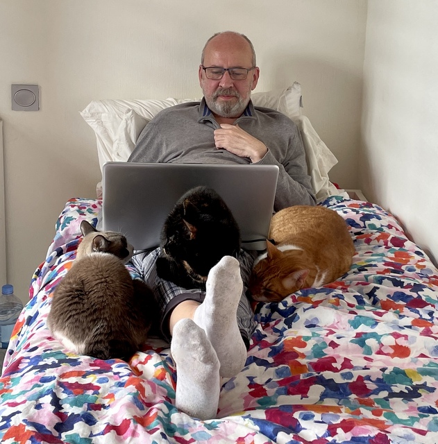 caturday november 19th 2022