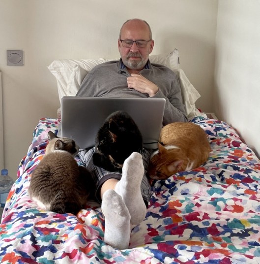 caturday november 19th 2022