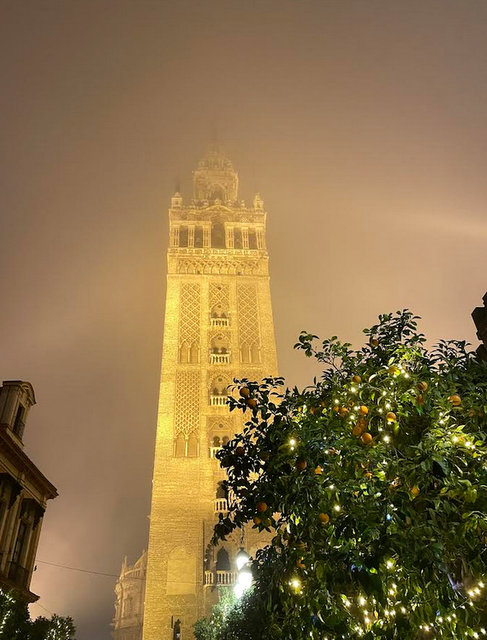 foggy night (1)