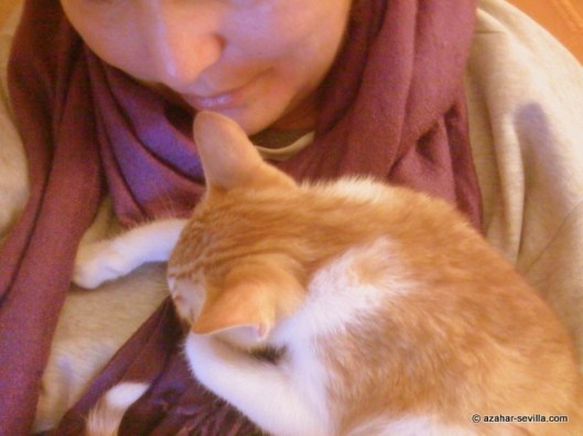 caturday march 11 2023