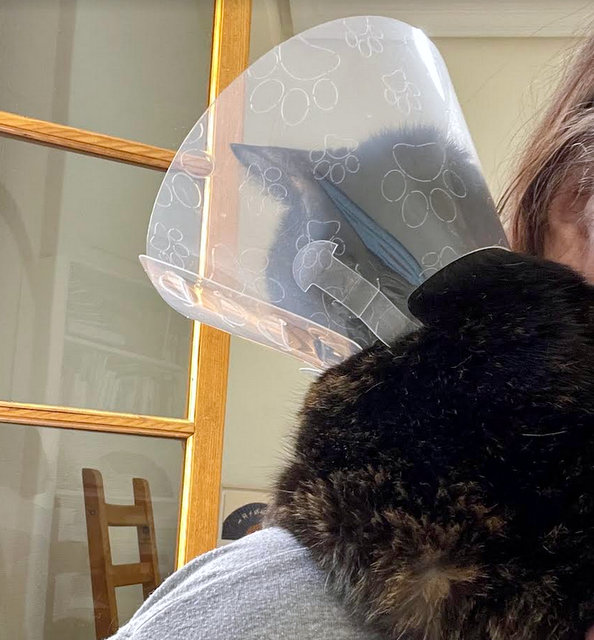 caturday march 25 2023 (1)