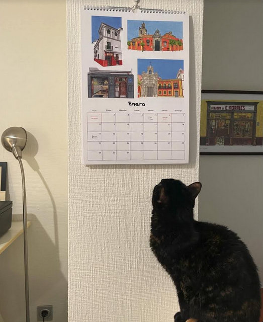 happy new year 24 (1)