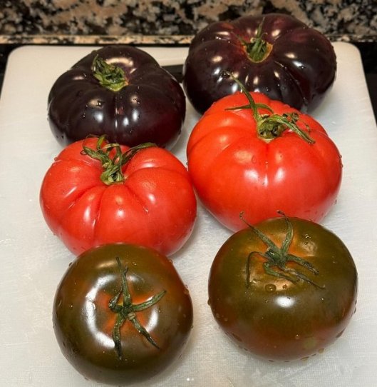 tomato lottery (1)