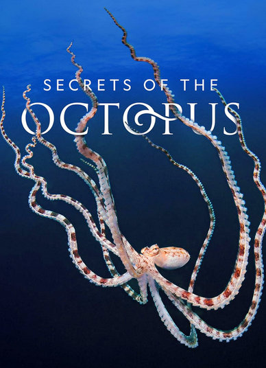 octopus secrets