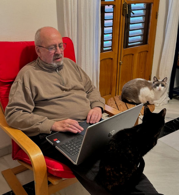 caturday nov 16 2024